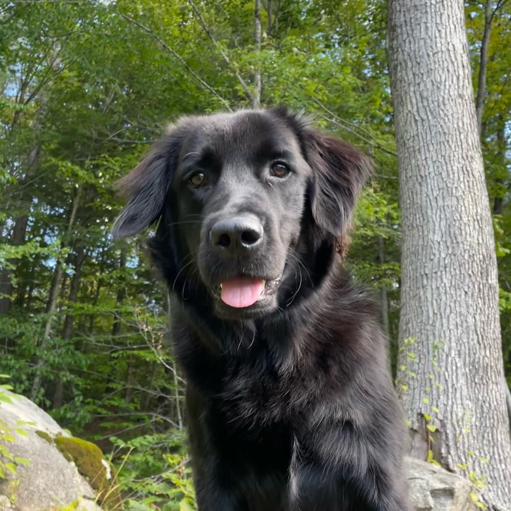 Meet your Posher, Kelsey